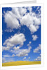 Beautiful Cumulus Clouds and Golden Prairie by Anonymous