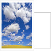 Beautiful Cumulus Clouds and Golden Prairie by Anonymous