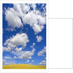 Beautiful Cumulus Clouds and Golden Prairie by Anonymous