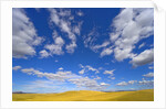 Beautiful Cumulus Clouds and Golden Prairie by Anonymous