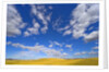 Beautiful Cumulus Clouds and Golden Prairie by Anonymous