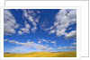 Beautiful Cumulus Clouds and Golden Prairie by Anonymous