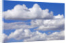 Cumulus Clouds Floating in Clear Blue Sky in Fall by Anonymous
