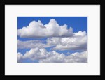 Cumulus Clouds Floating in Clear Blue Sky in Fall by Anonymous