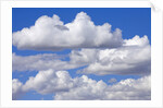 Cumulus Clouds Floating in Clear Blue Sky in Fall by Anonymous