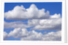 Cumulus Clouds Floating in Clear Blue Sky in Fall by Anonymous