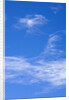 Delicate Cirrus Clouds Above Desert by Anonymous
