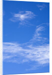 Delicate Cirrus Clouds Above Desert by Anonymous
