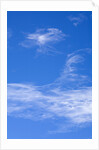 Delicate Cirrus Clouds Above Desert by Anonymous