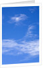 Delicate Cirrus Clouds Above Desert by Anonymous