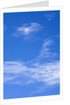 Delicate Cirrus Clouds Above Desert by Anonymous