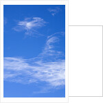 Delicate Cirrus Clouds Above Desert by Anonymous