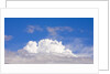 Dramatic Big Cumulus Clouds at Noon by Anonymous