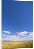 Round Cumulus Clouds Above Vermilion Cliffs by Anonymous