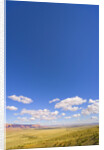 Round Cumulus Clouds Above Vermilion Cliffs by Anonymous
