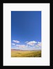 Round Cumulus Clouds Above Vermilion Cliffs by Anonymous