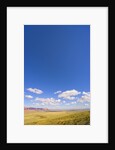 Round Cumulus Clouds Above Vermilion Cliffs by Anonymous