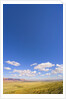 Round Cumulus Clouds Above Vermilion Cliffs by Anonymous