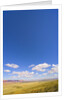 Round Cumulus Clouds Above Vermilion Cliffs by Anonymous
