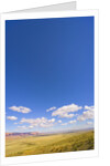 Round Cumulus Clouds Above Vermilion Cliffs by Anonymous