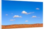 Small Cumulus Clouds Above Vermilion Cliffs by Anonymous