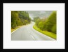 Winding Coastal Road Among Bush Covered Hills by Anonymous