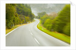 Winding Coastal Road Among Bush Covered Hills by Anonymous