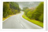 Winding Coastal Road Among Bush Covered Hills by Anonymous