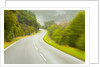 Winding Coastal Road Among Bush Covered Hills by Anonymous
