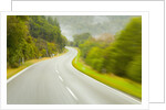 Winding Coastal Road Among Bush Covered Hills by Anonymous