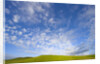 Rolling Green Hills and Dramatic Cumulus Clouds by Anonymous