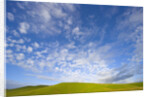 Rolling Green Hills and Dramatic Cumulus Clouds by Anonymous