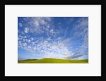 Rolling Green Hills and Dramatic Cumulus Clouds by Anonymous