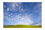 Rolling Green Hills and Dramatic Cumulus Clouds by Anonymous