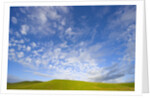 Rolling Green Hills and Dramatic Cumulus Clouds by Anonymous