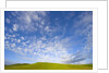 Rolling Green Hills and Dramatic Cumulus Clouds by Anonymous
