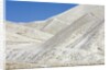 Snowy Hills at Lindis Pass in McKenzie Basin by Anonymous