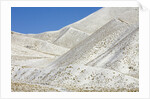 Snowy Hills at Lindis Pass in McKenzie Basin by Anonymous