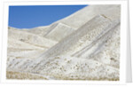 Snowy Hills at Lindis Pass in McKenzie Basin by Anonymous