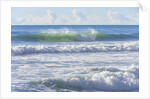 Tide Waves of Pacific Ocean Rolling Toward Shore by Anonymous