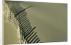 Fence in Sand by Anonymous