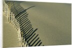 Fence in Sand by Anonymous