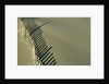 Fence in Sand by Anonymous