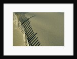 Fence in Sand by Anonymous