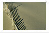 Fence in Sand by Anonymous