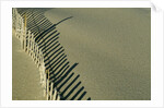 Fence in Sand by Anonymous