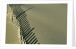 Fence in Sand by Anonymous