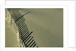 Fence in Sand by Anonymous
