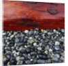 Log on Pebbles by Anonymous