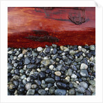 Log on Pebbles by Anonymous